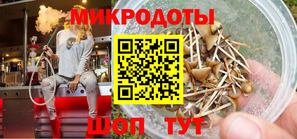 Псилоцибиновые грибы Psilocybine cubensis Брянск