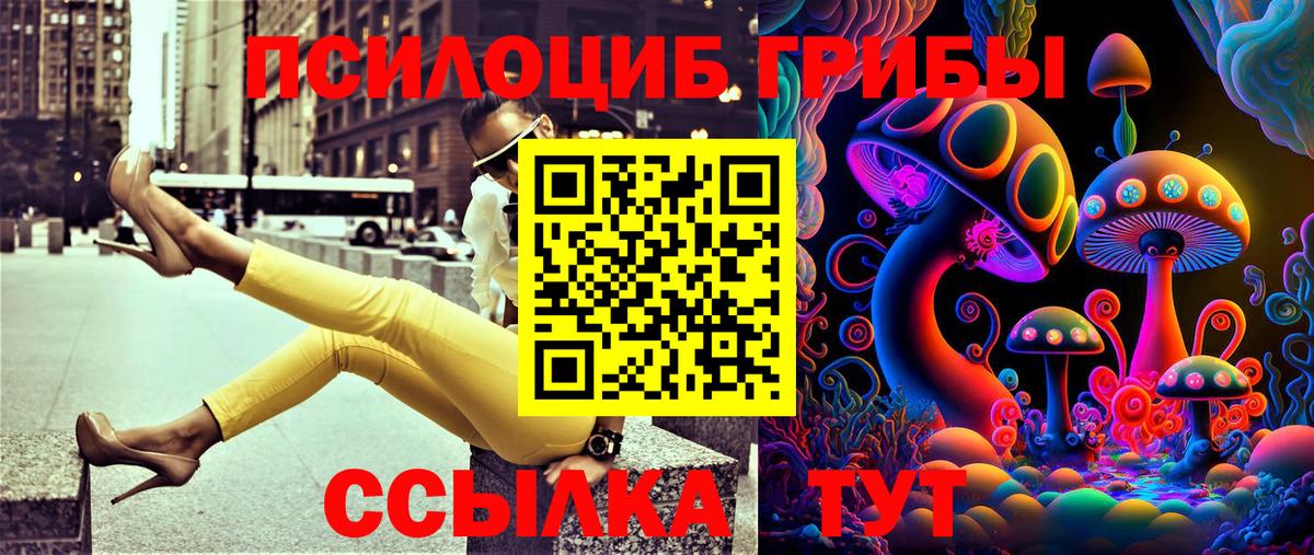 Галлюциногенные грибы прущие грибы  Вход с VPN  Брянск 